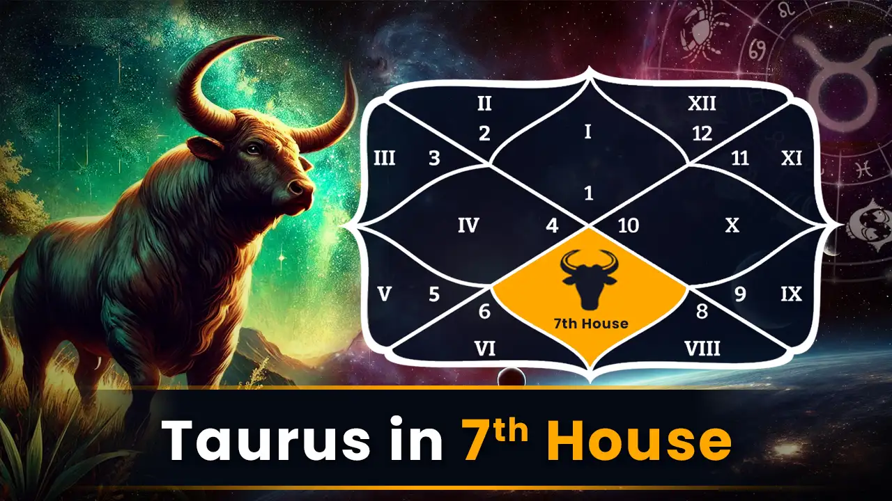 Taurus in 7th House